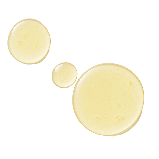 [Test] VeraVera 1